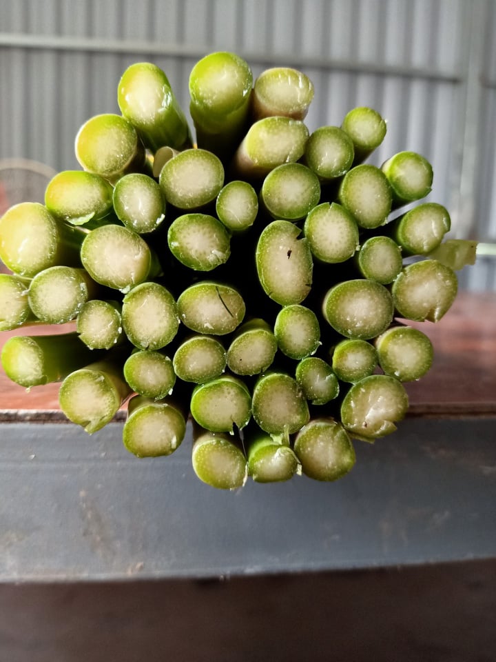 Măng Tây Tươi Thượng Hạng đổ buôn sỉ LH 0934449922