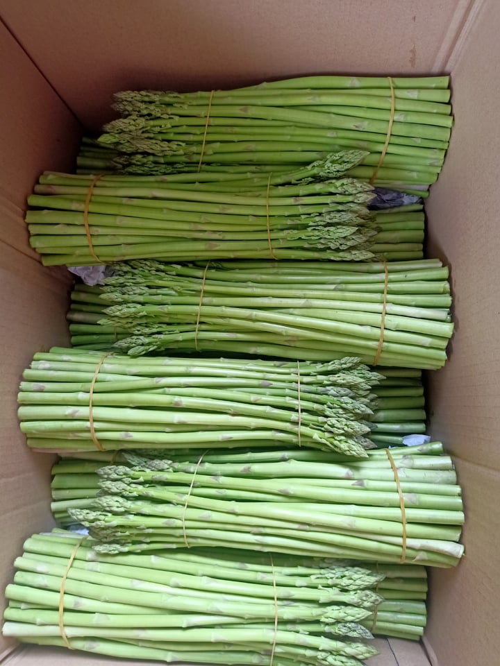 Măng Tây Tươi Thượng Hạng đổ buôn sỉ LH 0934449922