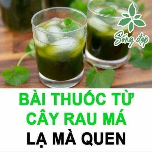 BỘT RAU MÁ SẤY LẠNH NGUYÊN CHẤT 200 GAM.