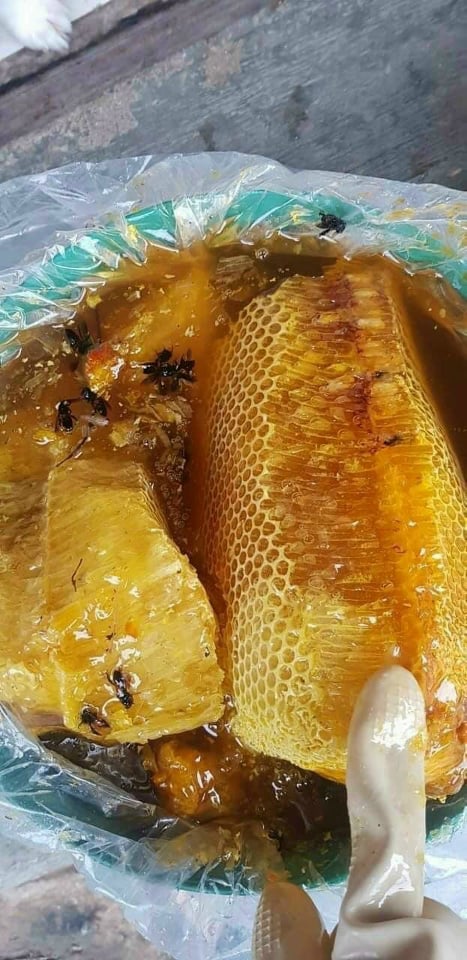 Mật ong rừng nguyên chất chai 1 lít (tuyển sỉ đại lý 0934449922)