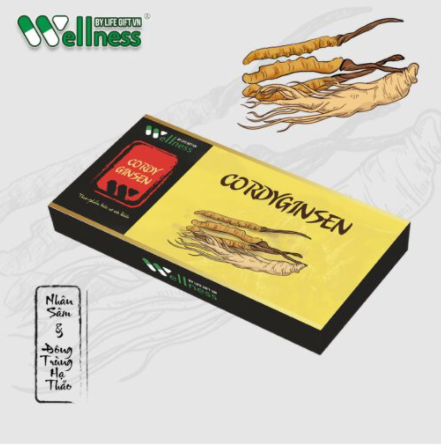 Thực phẩm bồi bổ nguyên khí nhân sâm Cordyginsen