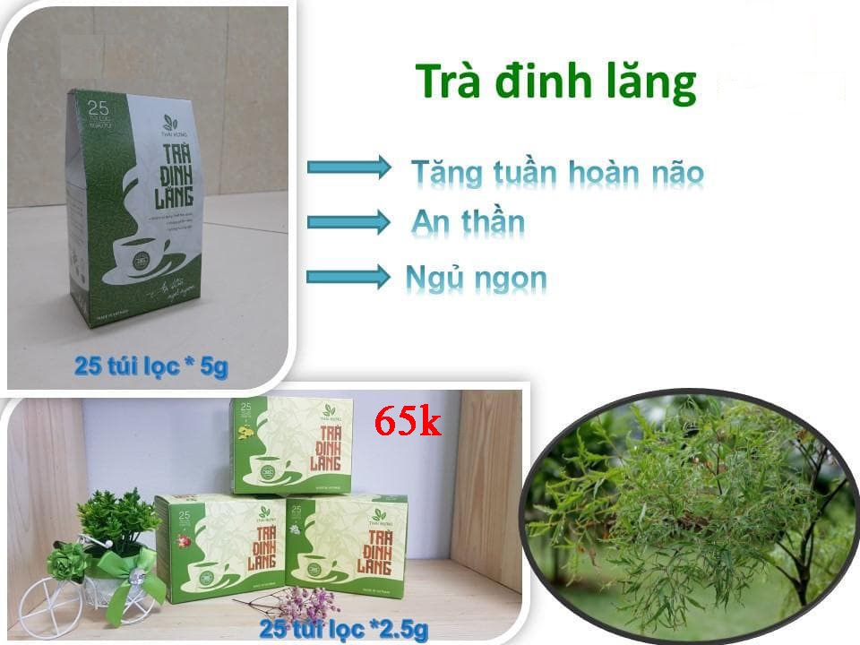 Trà đinh lăng Thái Hưng hộp 25 túi lọc 2.5 gam cao cấp
