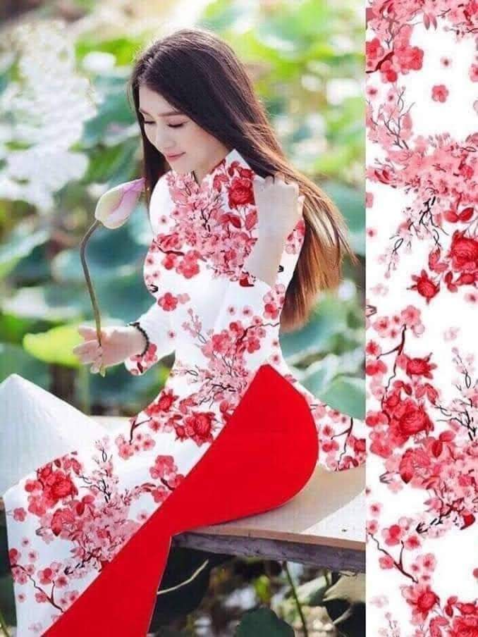 Áo dài Việt Nam (Tuyển Đại Lý, Sỉ SLL, Nhận may theo yêu cầu giá tốt 0987891441)