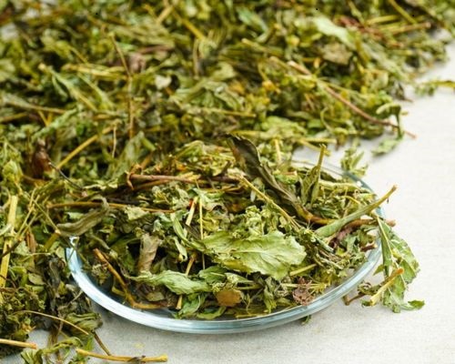  Cỏ ngọt khô loại M77 cao cấp
